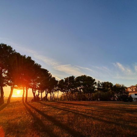 Poggio Active Hotel San Giovanni Rotondo Zewnętrze zdjęcie