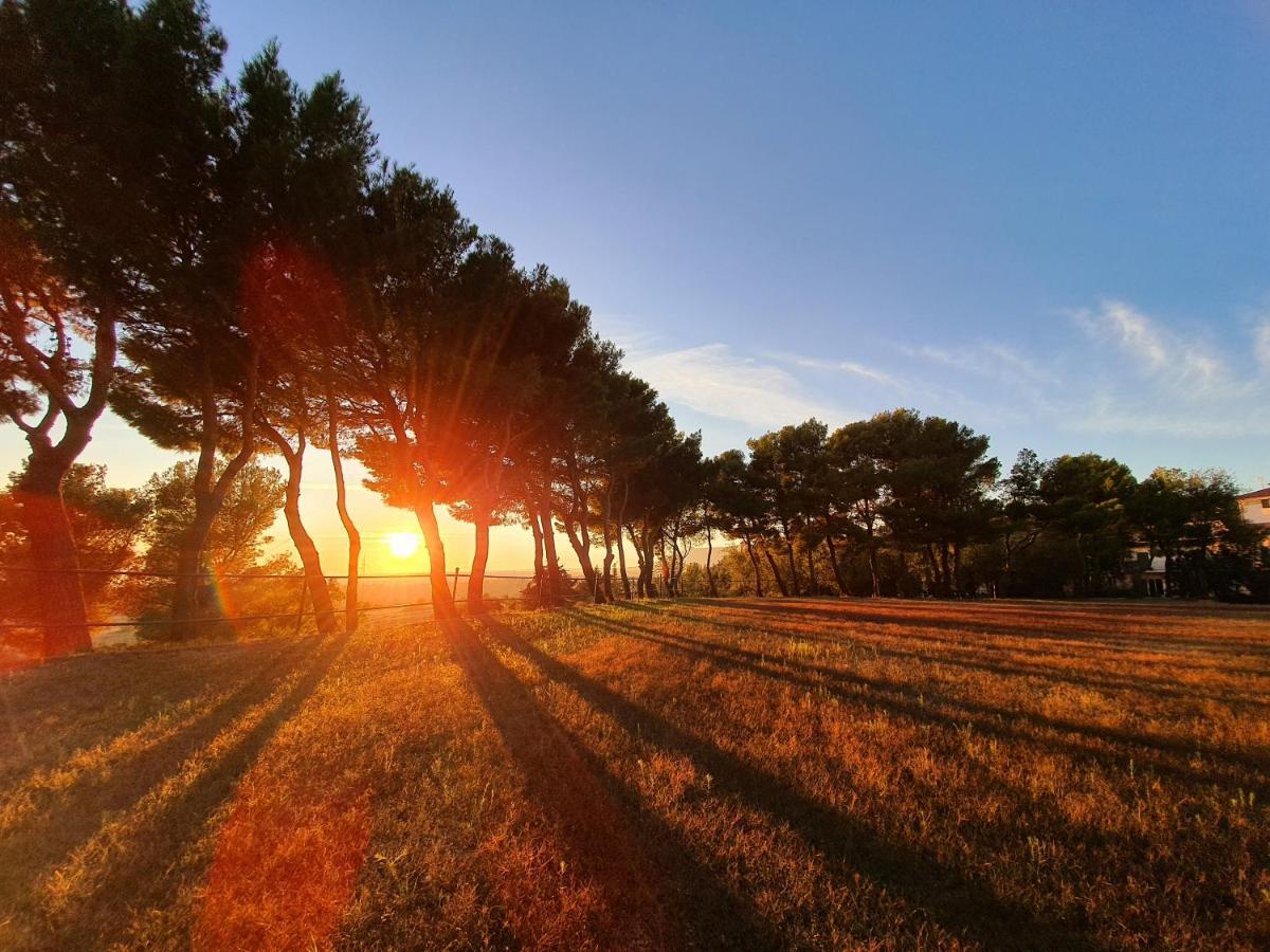 Poggio Active Hotel San Giovanni Rotondo Zewnętrze zdjęcie